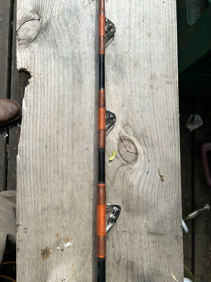 Caña de pescar en alta mar Seeker Foto 2 de 4