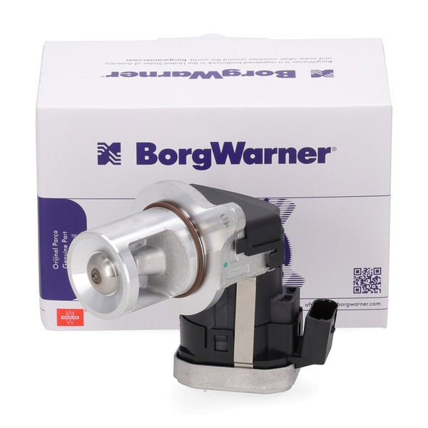 Borgwarner Agr-Ventil FüR Mercedes W203 W204 W211 S211 W639 OM642 6421400860-image