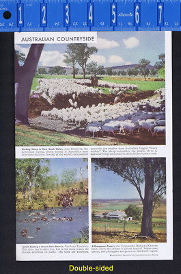 Scenes of City and Country Life in AUSTRALIA -  1950s Pictorial