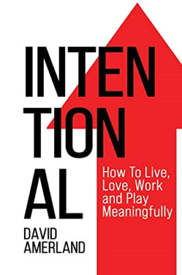 Intentional: How to Live, Love, Work and Play Meaningfu -  NEW David Amerland 20