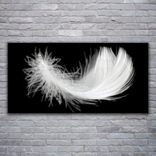 Print on Glass Wall art 120x60 Picture Image Feather Art