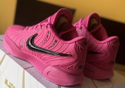 Lebron 21 Eybl Peach Jam “ Welcome To The EYBL Fam 2024” Size 15 Limited Ed - Picture 5 of 22