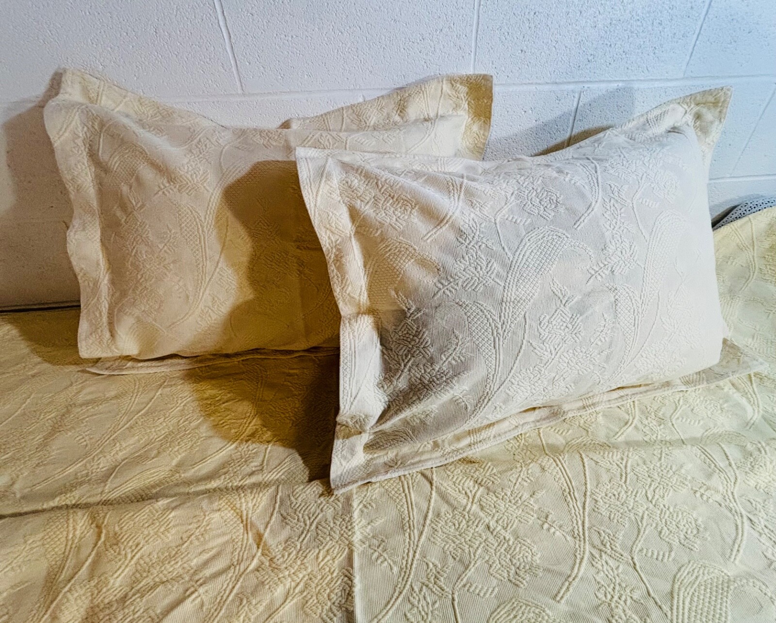 Picture 6 of 21