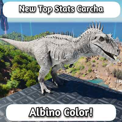 ARK Survival Ascended Albino Carcharodontosaurus (Carcha) TOP STATS - PVE