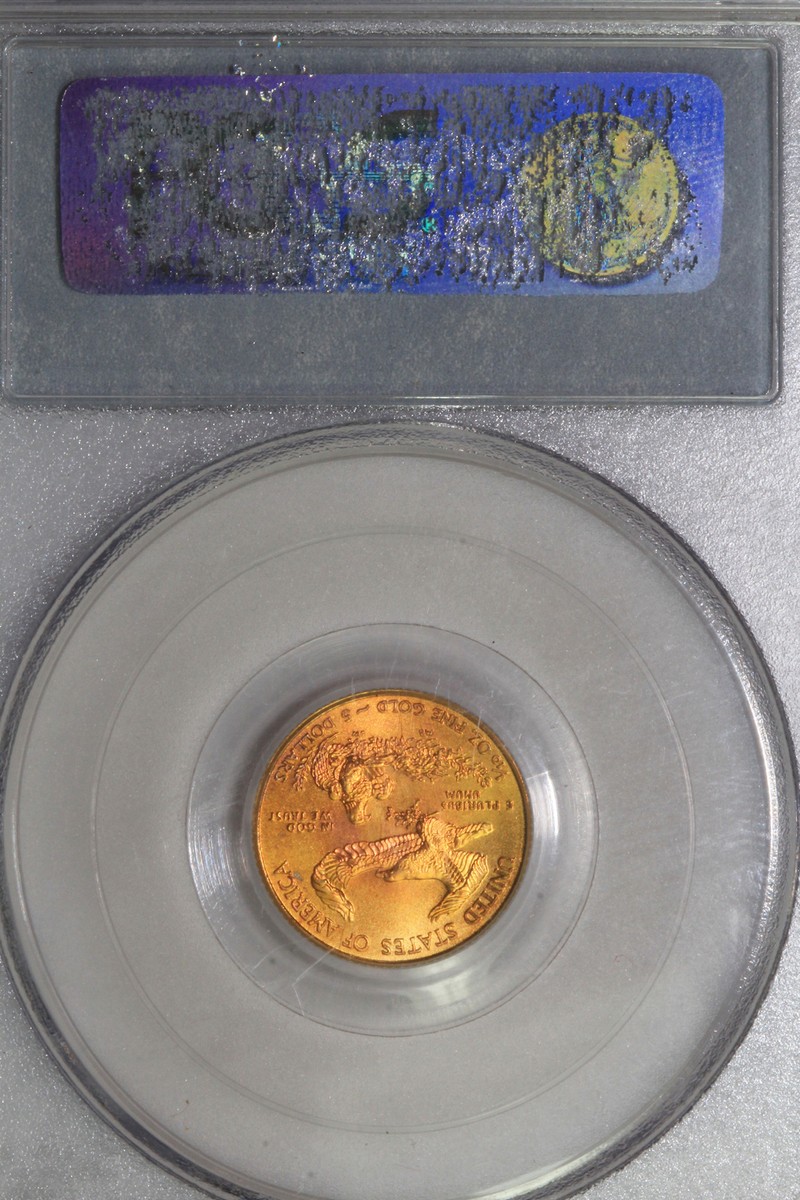 2010 $5.00 American Gold Eagle PCGS Graded MS 69 Nice Toning