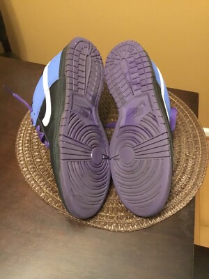 Size 10.5 - Nike Nyx Dunk Low Black/Blue (Purple Laces