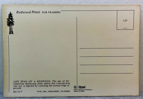 Lot 2 Postcards Redwood Prints For Framing Redcrest California 1984 Coastal - Picture 6 of 6
