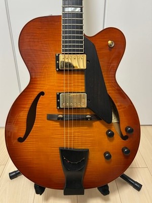 D'Aquisto Jazz Line DQ-JZ-JR with DiMarzio PAF 36th Anniversary