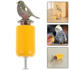  Bird Whistle: Toddler Whistle Bird Call Noise Maker Hand Twist Fun and