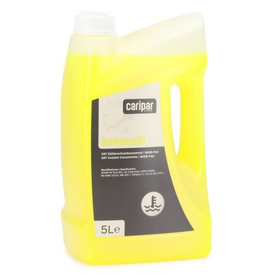 5L CARIPAR ANTIFREEZE RD Frostschutz Kühlerfrostschutz Konzentrat MB 325.7 Citan
