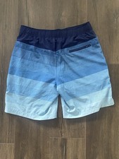 Speedo Men Shorts M Blue Swimwear Striped Tech Volley Swim Trunks NWT
