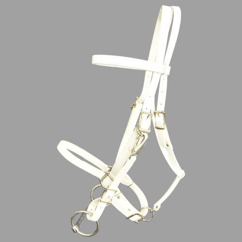 HORSE SIZE-READY MADE-White HALTER BRIDLE with BIT HANGERS Made of BETA BIOTHANE - Afbeelding 1 van 1