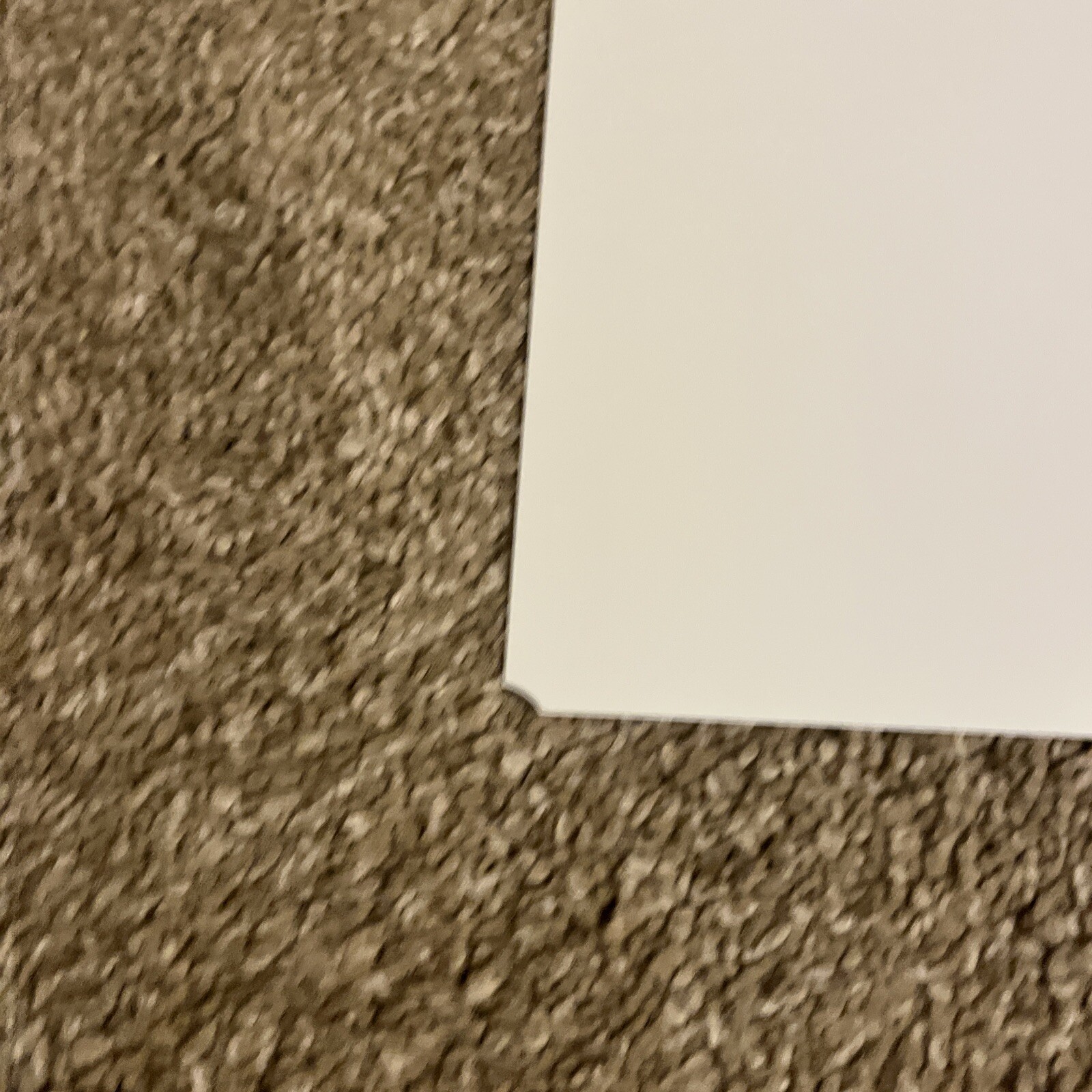 Picture 10 of 10