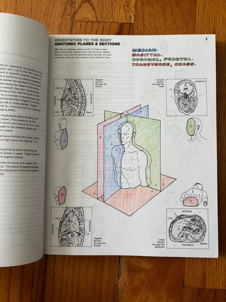 The Anatomy Coloring Book (4th Edition) by Wynn Kapit and Lawrence M ...