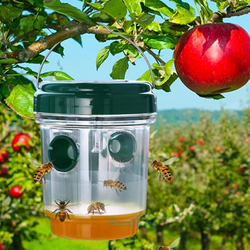 Solar Powered Wasp Trap Catcher w/ UV Light Traps Wasp Repellent Hornet Bee  | eBay
