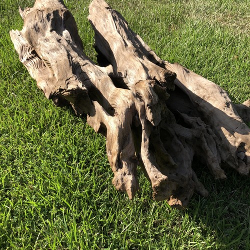Xtra Large Driftwood Beautiful Aquarium Decor 38x18x10 Real Wood Holes Terrarium - Picture 8 of 23