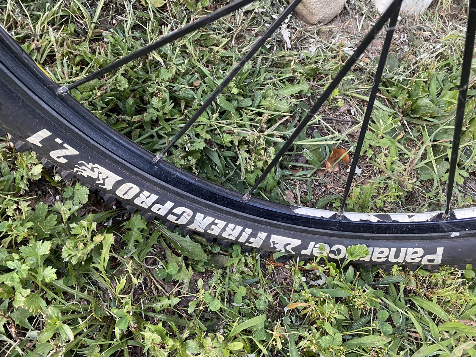 2001 Specialized M4 Stumpjumper SWorks Falak Tayyeb Platinum