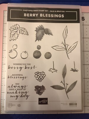 NEW Stampin Up Stamp Acrylic Berry Blessings Blueberry Raspberry Birthday Thanks