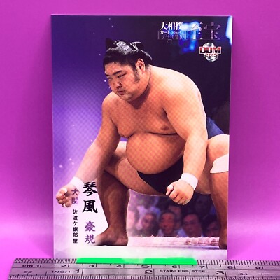 KOTOKAZE Koki Sumo Wrestler Trading Card BBM 2015 Rikishi TCG