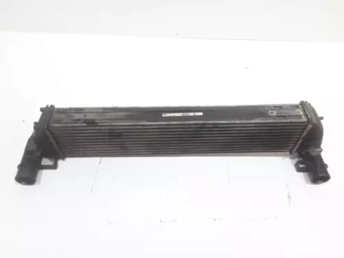 8200292773 Intercooler per RENAULT LAGUNA II (BG0) * 1405354 - Bild 1 von 4