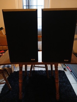 Pair Bose Interaudio 4000 22.5'' Tall Speakers Black  Sound Great!