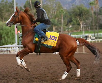 16 x20 color photo - CALIFORNIA Chrome 
