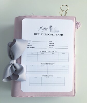 Cat Health Certificate: Essential for Travel & Wellness