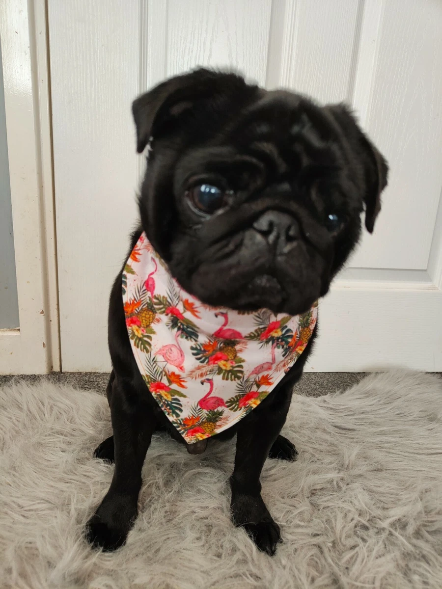 Flamingo top dog bandana
