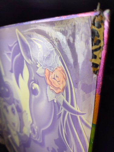 Raccoglitore rigido vintage Lisa Frank 3 anelli ๐ Chaser cavallo cowgirl danni scintillanti vedi! - Foto 13 di 15