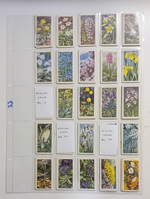 Brook Bond Tea Cards - Wild Flowers (series 2)