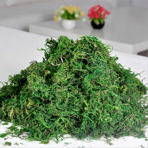 Accessories Dry Moss Lichen Artificial Moss Artificial Plant Fake Green Plants - Picture 5 of 8