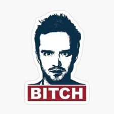 Breaking Bad Jesse Sticker Decal draw walter white retro