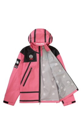THE NORTH FACE コーラルピンク 90cm セット The North Face 1996 Retro Nuptse Jacket – DTLR