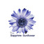 The Sapphire Sunflower