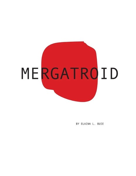 Mergatroid Elaina Buie Taschenbuch Kartoniert / Broschiert Englisch 2010-image