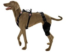 SurfPaws Professional Dog Knee Brace w/ Harness- Small