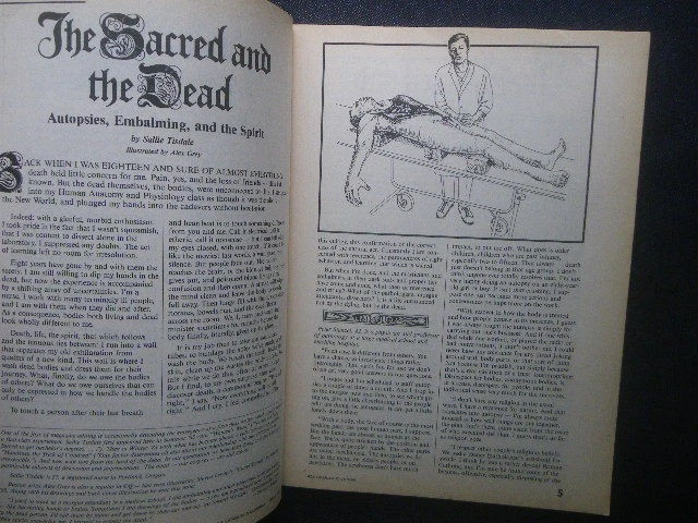 CoEvolution Quarterly 1984 Elephant Alex Grey Stewart Brand Magazine From Japan - Image 4 of 4