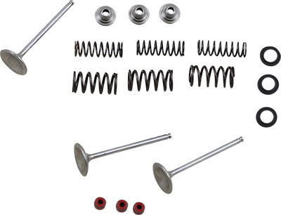 MOOSE OFFROAD Valve and Spring Kit Yamaha WR450F YZ450F