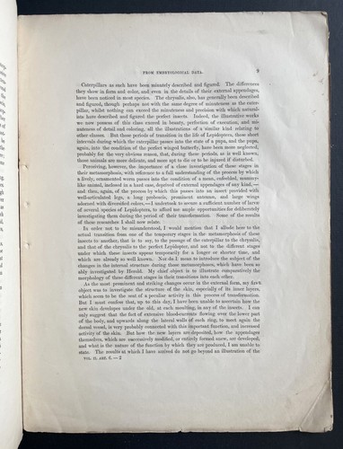 1850 Louis Agassiz Classification of Insects from Embryological Data - Foto 4 di 7