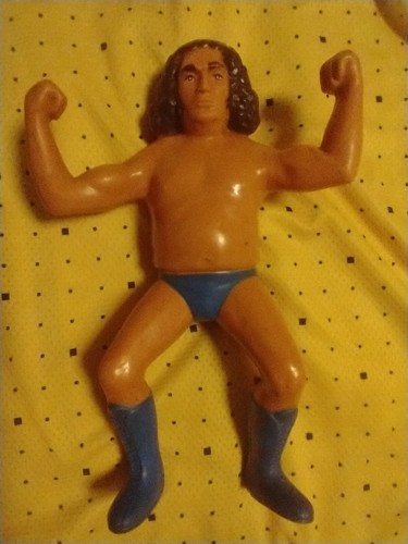1984 WWF ANDRE THE GIANT Wrestling Superstars Tita...