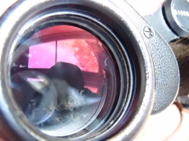 Picture 16 of 20