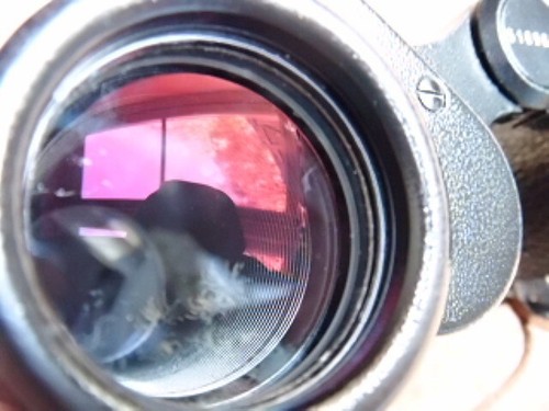 nice Carl Zeiss Jenoptem 8x30 binoculars in case bright view some light fungus - Picture 16 of 20