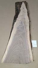 Live Edge Black Walnut Slab