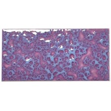 Ersatzfliese Wand Villeroy & Boch E5677 1331 V979 Vulkan blau lila 10 x 20 cm