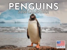Penguin Calendar 2026 Monthly Wall Calender 12 Month