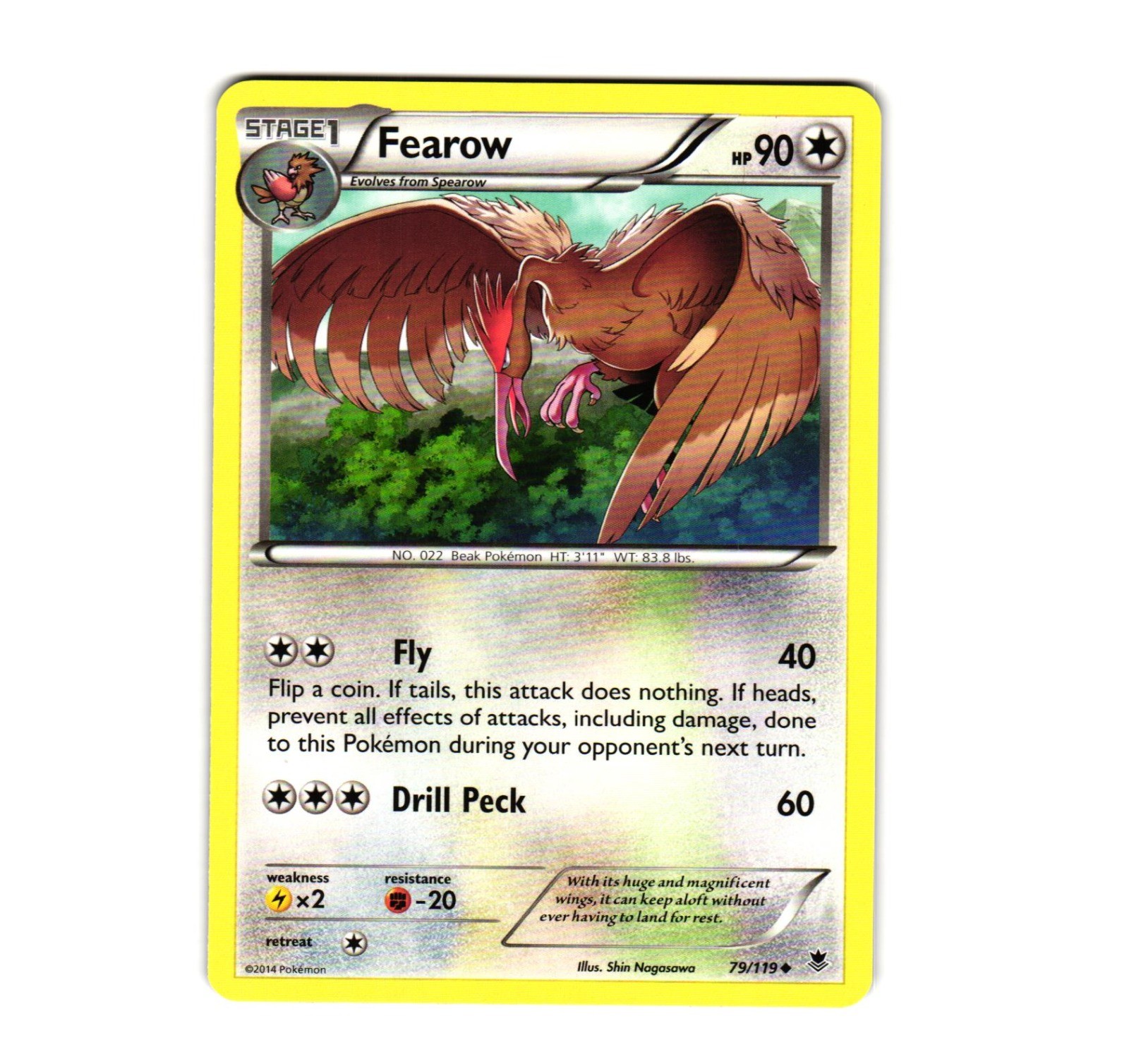 Pokemon Fearow 79/119 XY - Phantom Forces Uncommon NM