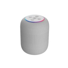GEMS Wireless Home Speaker - Gray