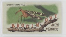 2020 Topps Allen & Ginter's Buggin' Out! Minis Scorpion Fly #MBO-9 9r7