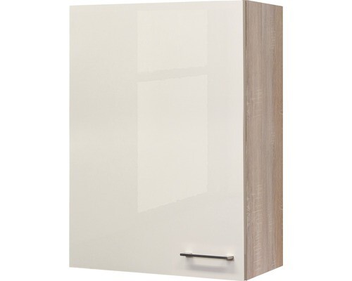 Wand-Hängeschrank Breite 60 cm, 1-türig Oberschrank Küchen-Hängeschrank - Bild 1 von 3