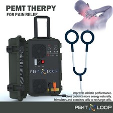 PMST Loop PEMF Magnetic Physio Magneto Body Massage Machine for Horse Human